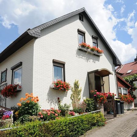 Ferienwohnung Bradsch Ilmenau Pokój zdjęcie