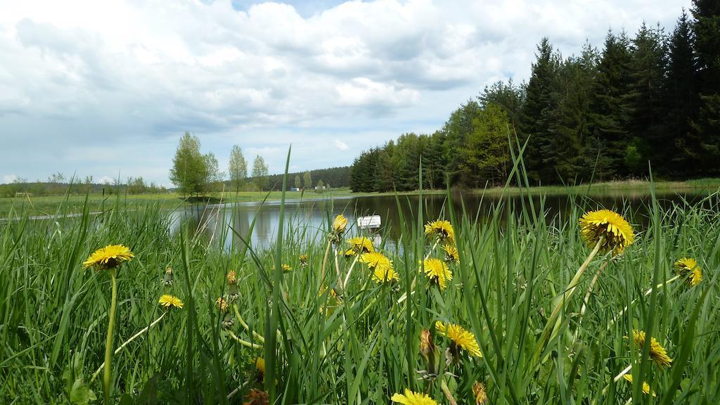 Ferienwohnung Bradsch Ilmenau Pokój zdjęcie