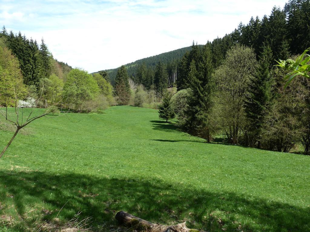 Ferienwohnung Bradsch Ilmenau Pokój zdjęcie