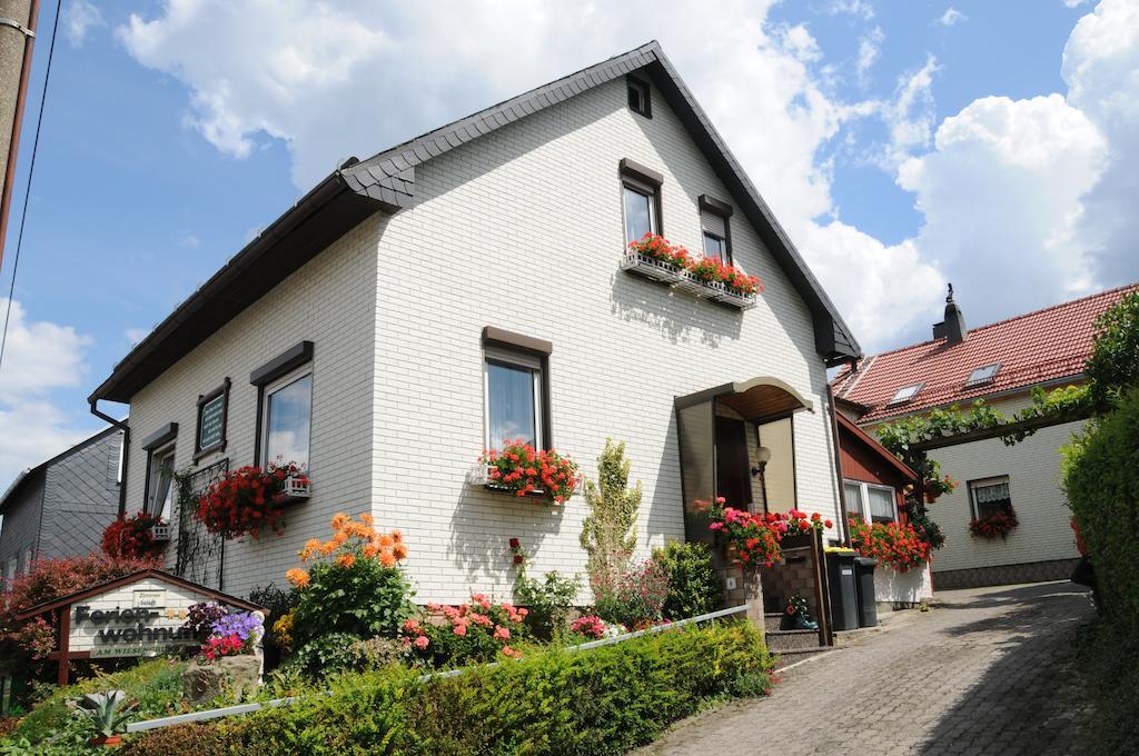 Ferienwohnung Bradsch Ilmenau Pokój zdjęcie