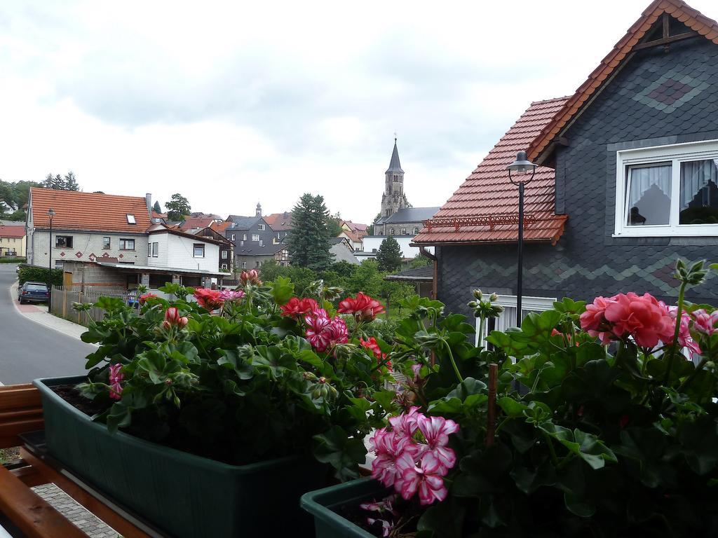 Ferienwohnung Bradsch Ilmenau Zewnętrze zdjęcie